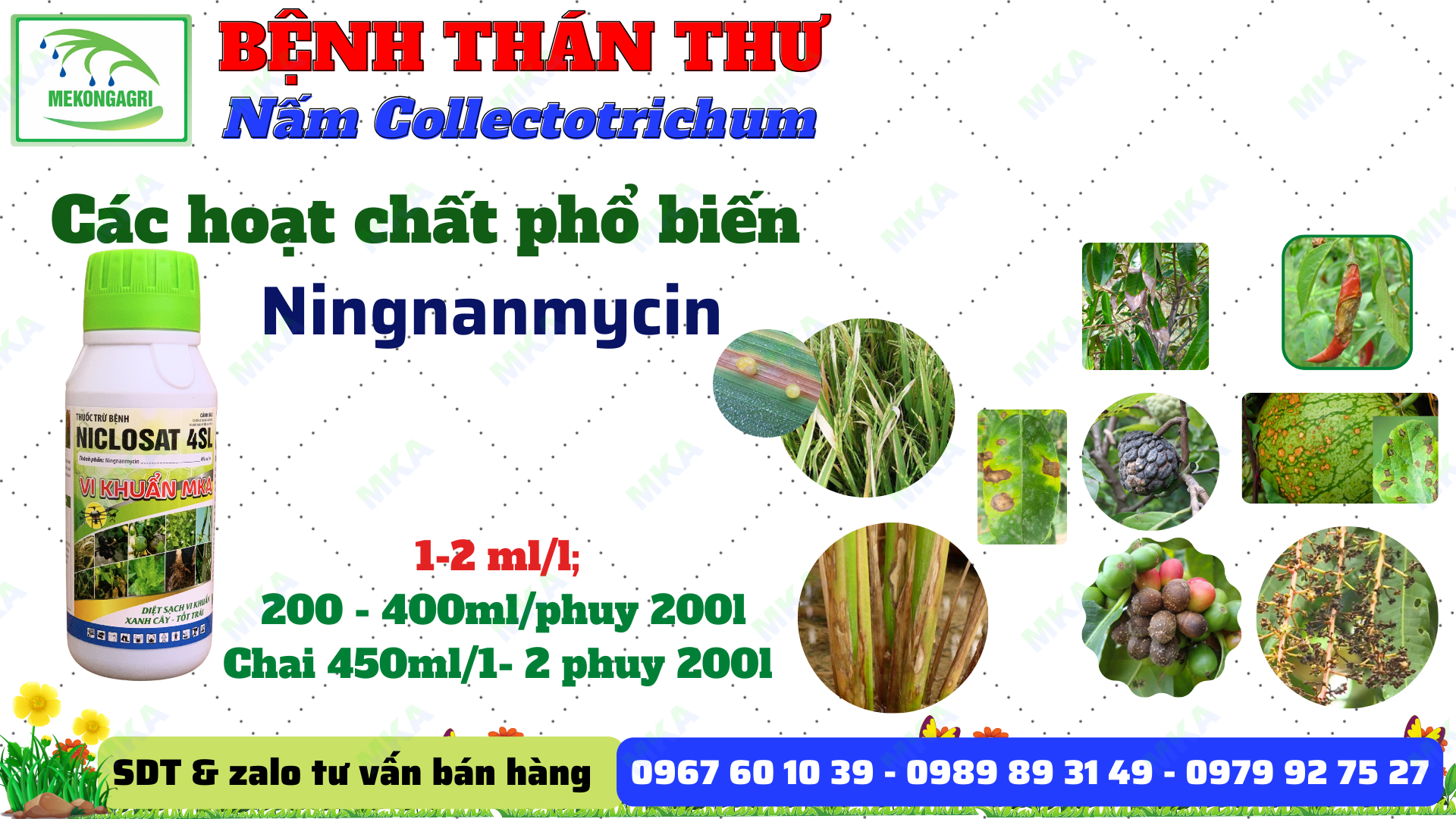 Bệnh thán thư